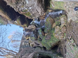 Day Trip from Dresden to the Lichtenhain Waterfall (Saxon Switzerland)