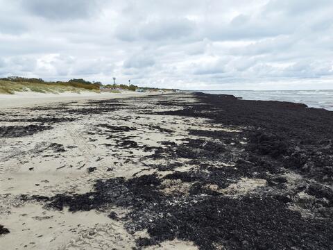 Liepāja beach